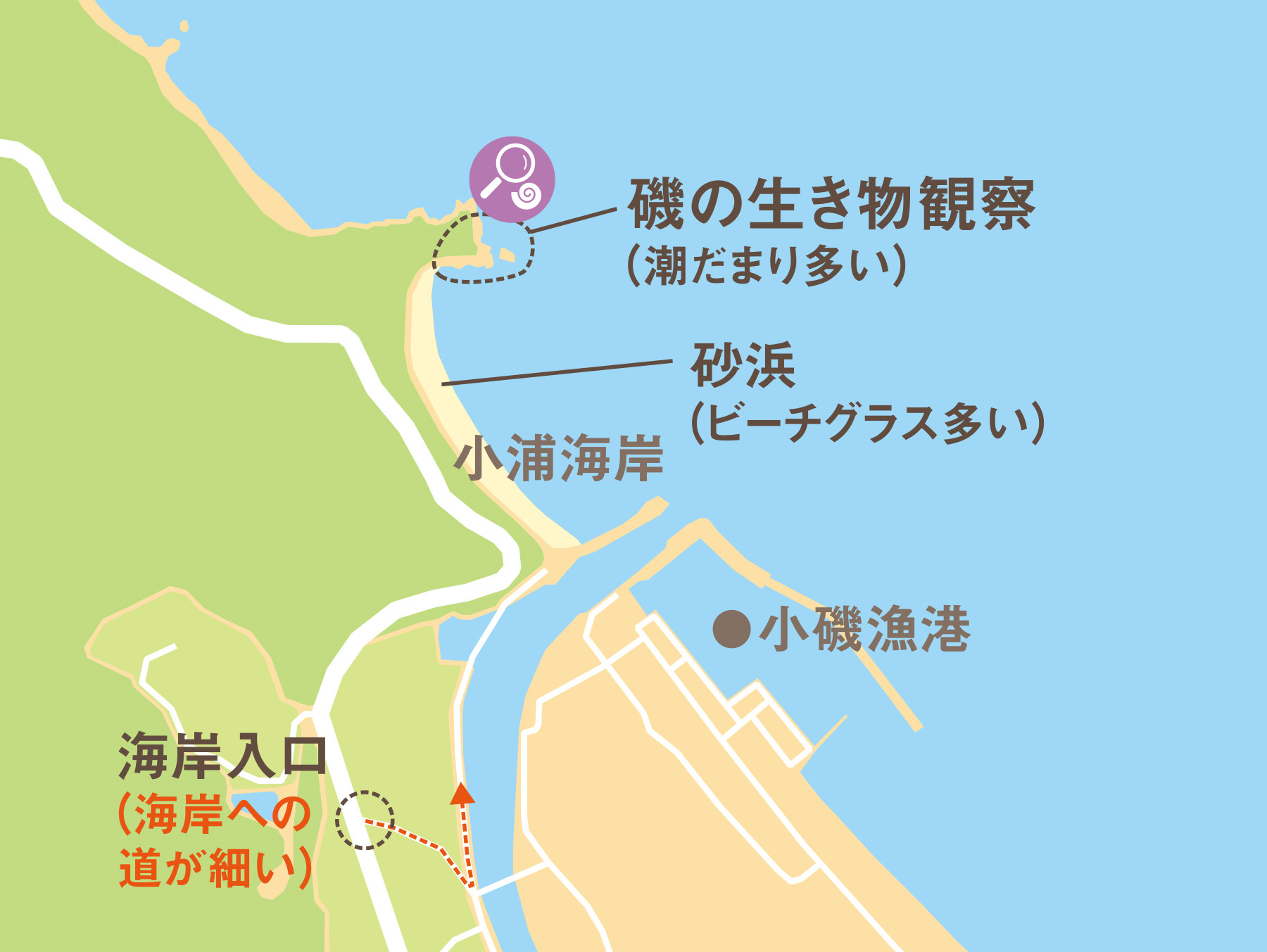 周辺地図（小浦海岸）