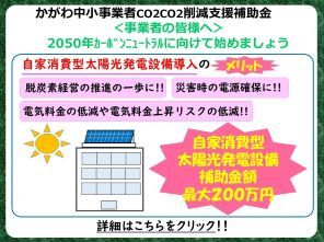 削除支援補助金