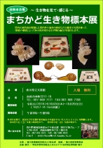 「まちかど生き物標本展」