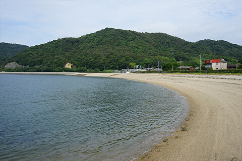 本島泊海岸