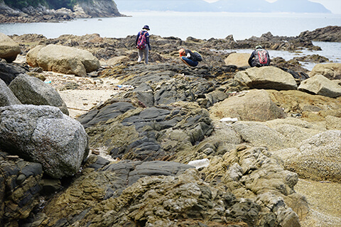 粟島西浜海岸