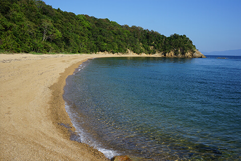 小浦海岸