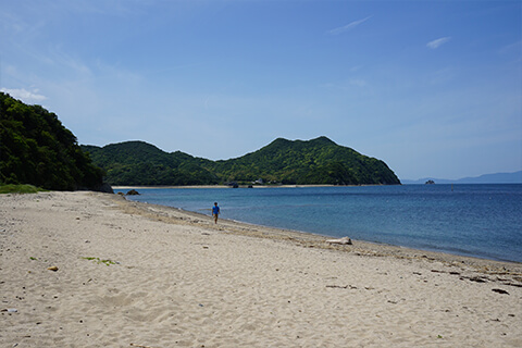 田の浦海岸