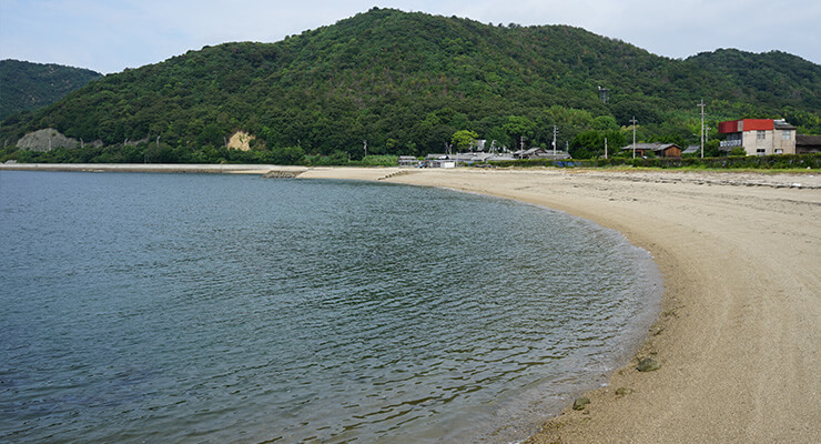 本島泊海岸の写真