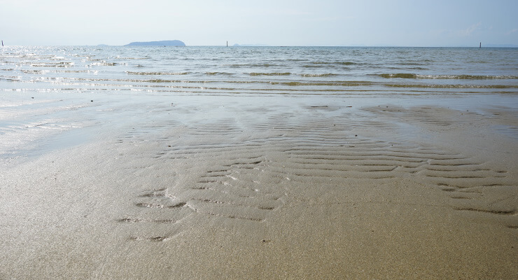 有明浜の写真