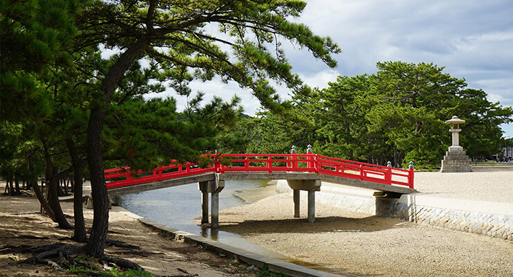 琴林公園の写真