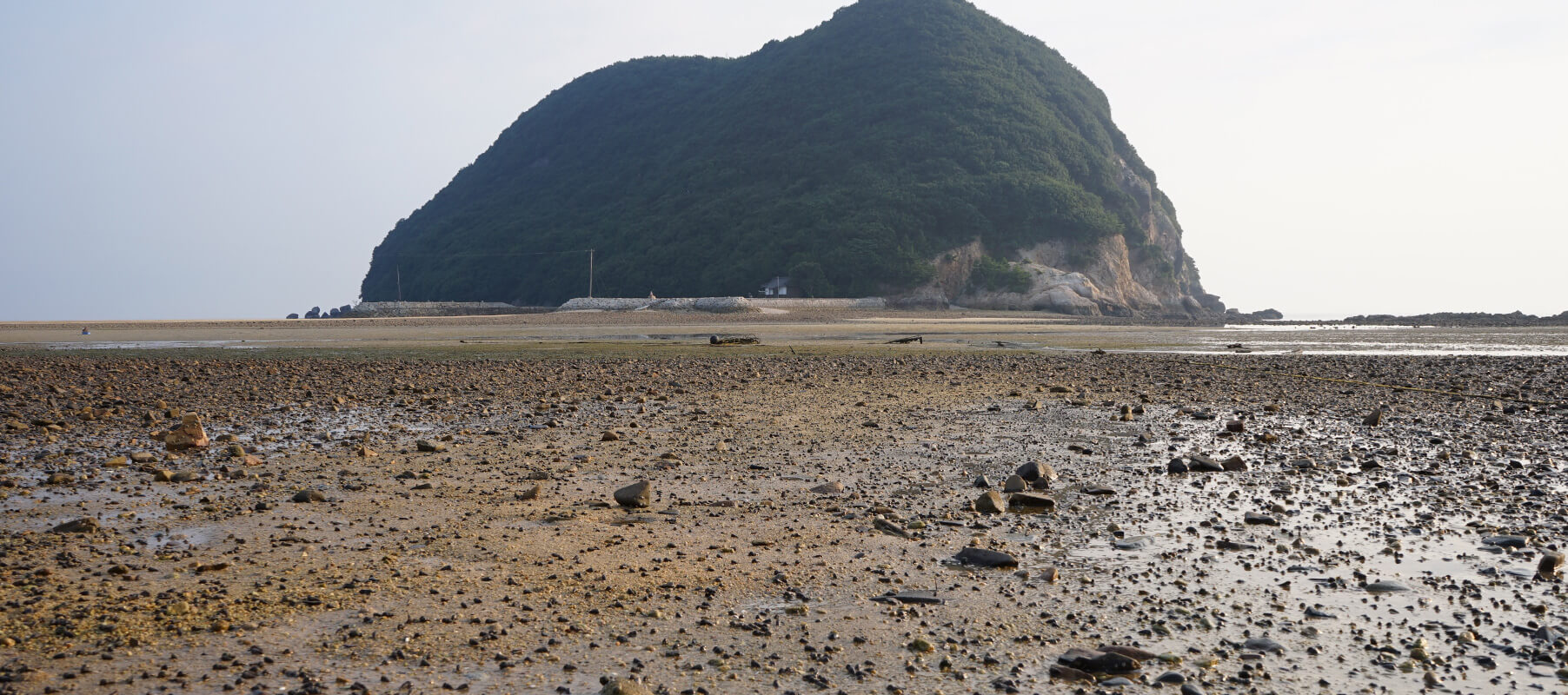 浜辺から丸山島を見る