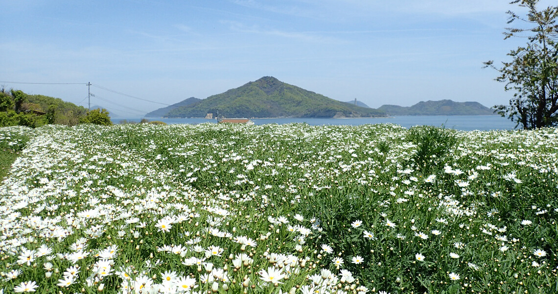 フラワーパーク浦島