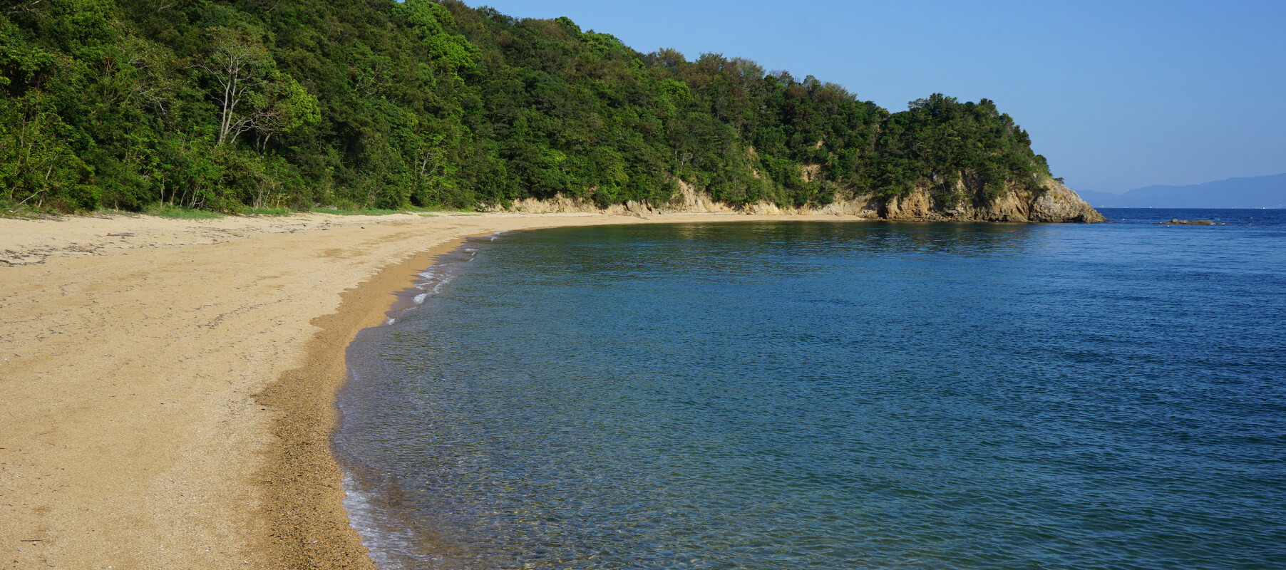 海全景