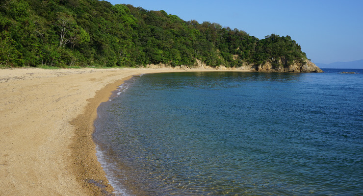 小浦海岸の写真