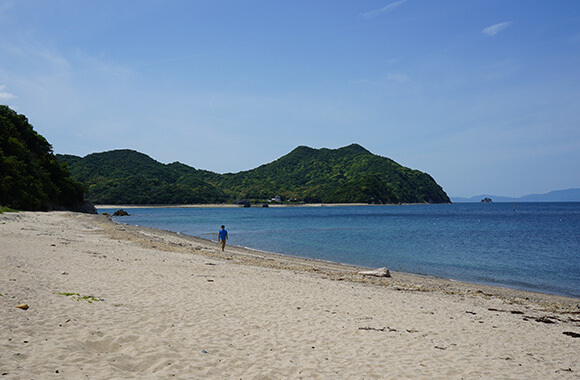 田の浦海岸1