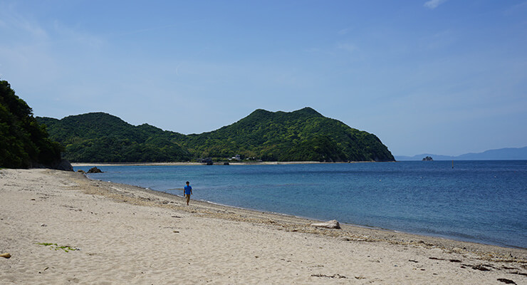 田の浦海岸の写真