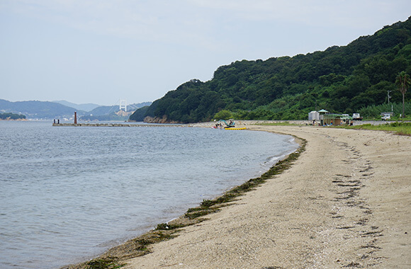 海辺全景