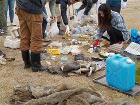 土器川　下流の調査2