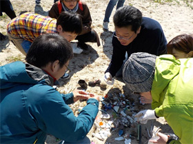 浦生海岸の調査2