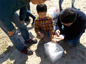 浦生海岸の調査3