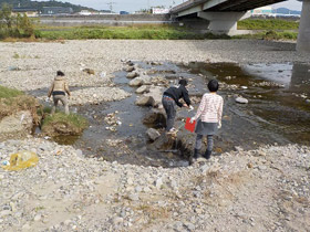 まんのう町～丸亀市を流れる土器川の下流の調査2