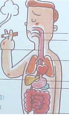 非喫煙者と比較した喫煙者のがんによる死亡の危険度の図2