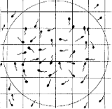 精液検査の図