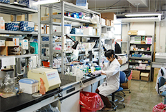 大学での研究風景3