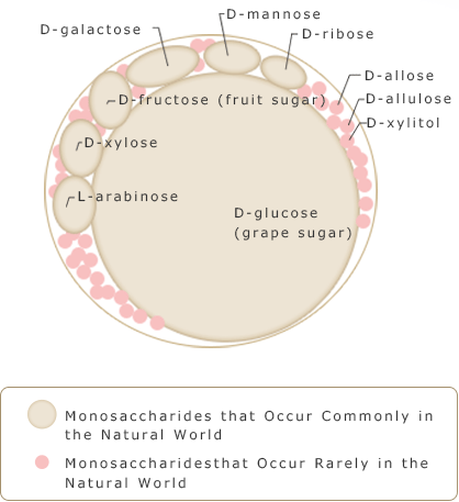 Image of Rare Sugars