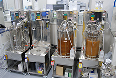 Production of Rare Sugar1