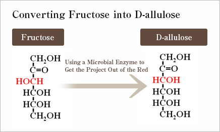 picture of converting Fructose into D-allulose