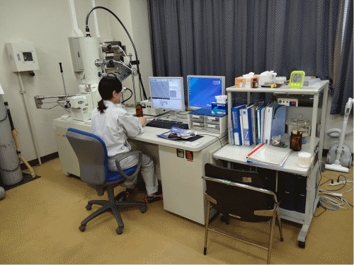 電界放出型分析走査電子顕微鏡の写真