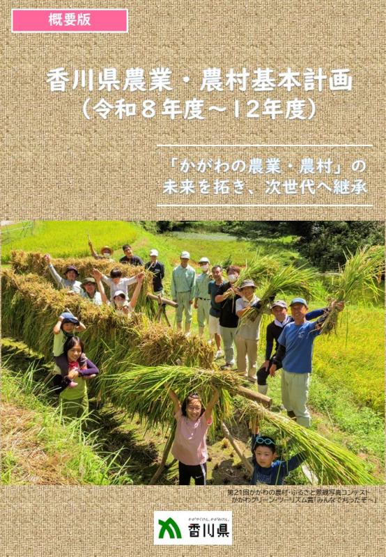 gaiyou_cover