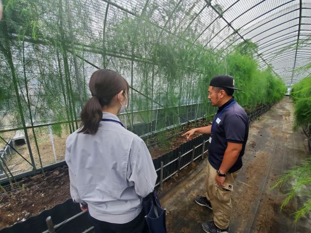 写真:野菜の栽培講習会の様子