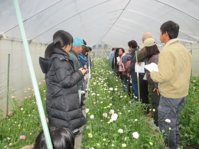 花きの栽培講習会