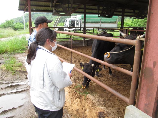 写真:家畜飼養管理指導の様子