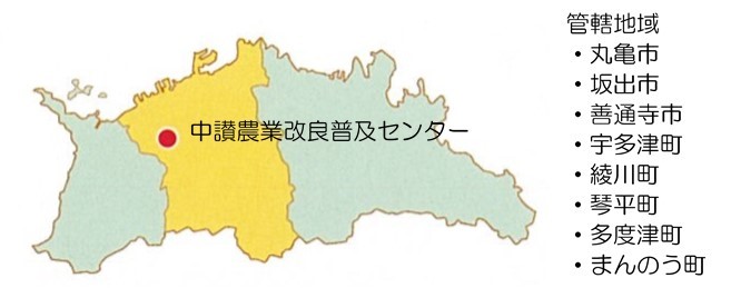 kannkatutiiki
