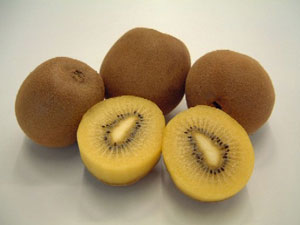 写真：キウイフルーツ新品種「さぬきゴールド」