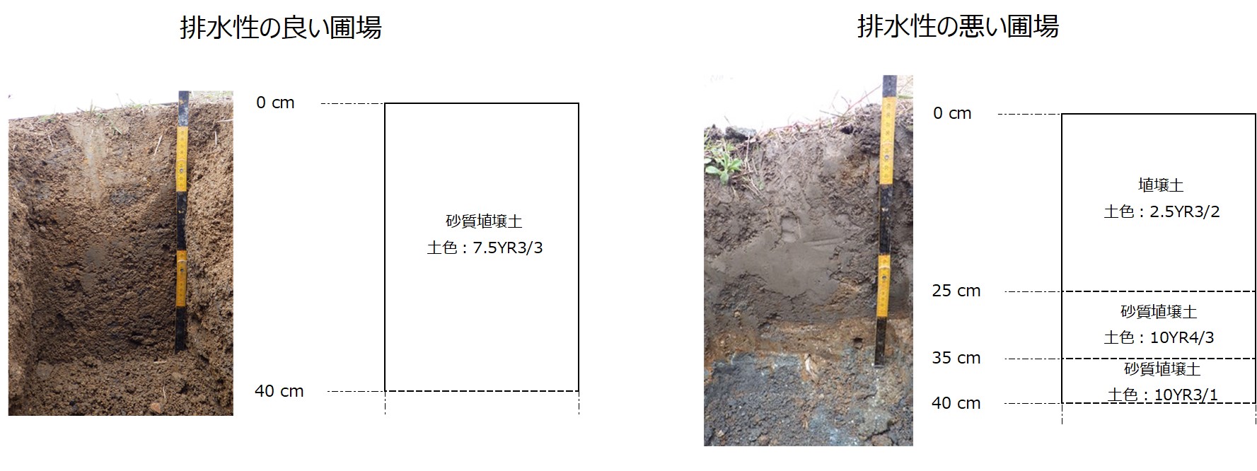 キウイフルーツ園の土壌実態調査