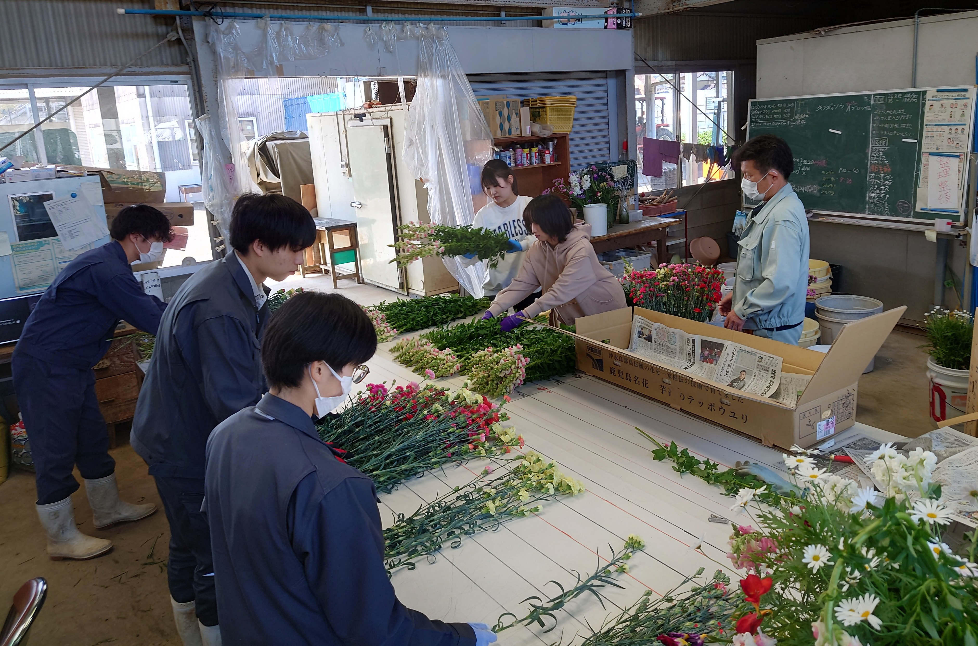 花き出荷