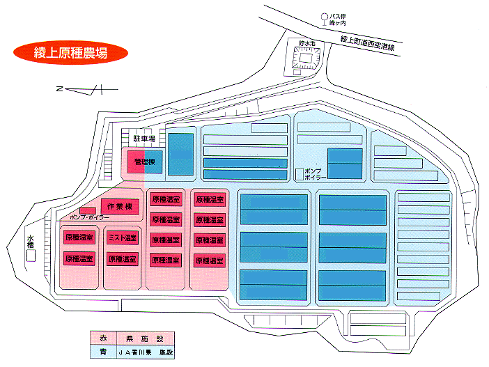 綾上原種農場配置図