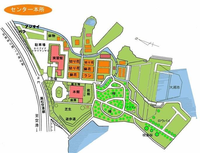 センター本所配置図