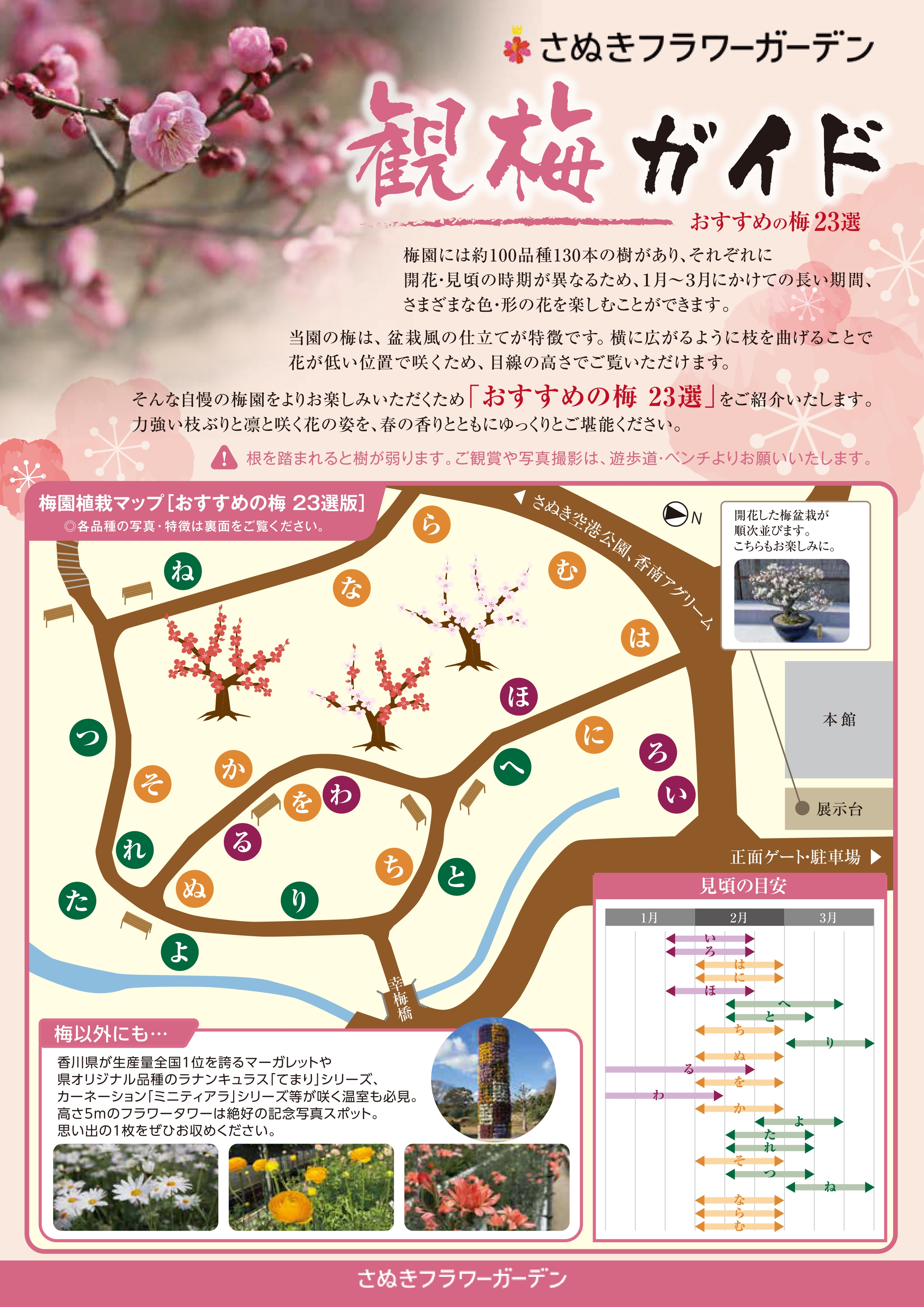 観梅ガイド表面