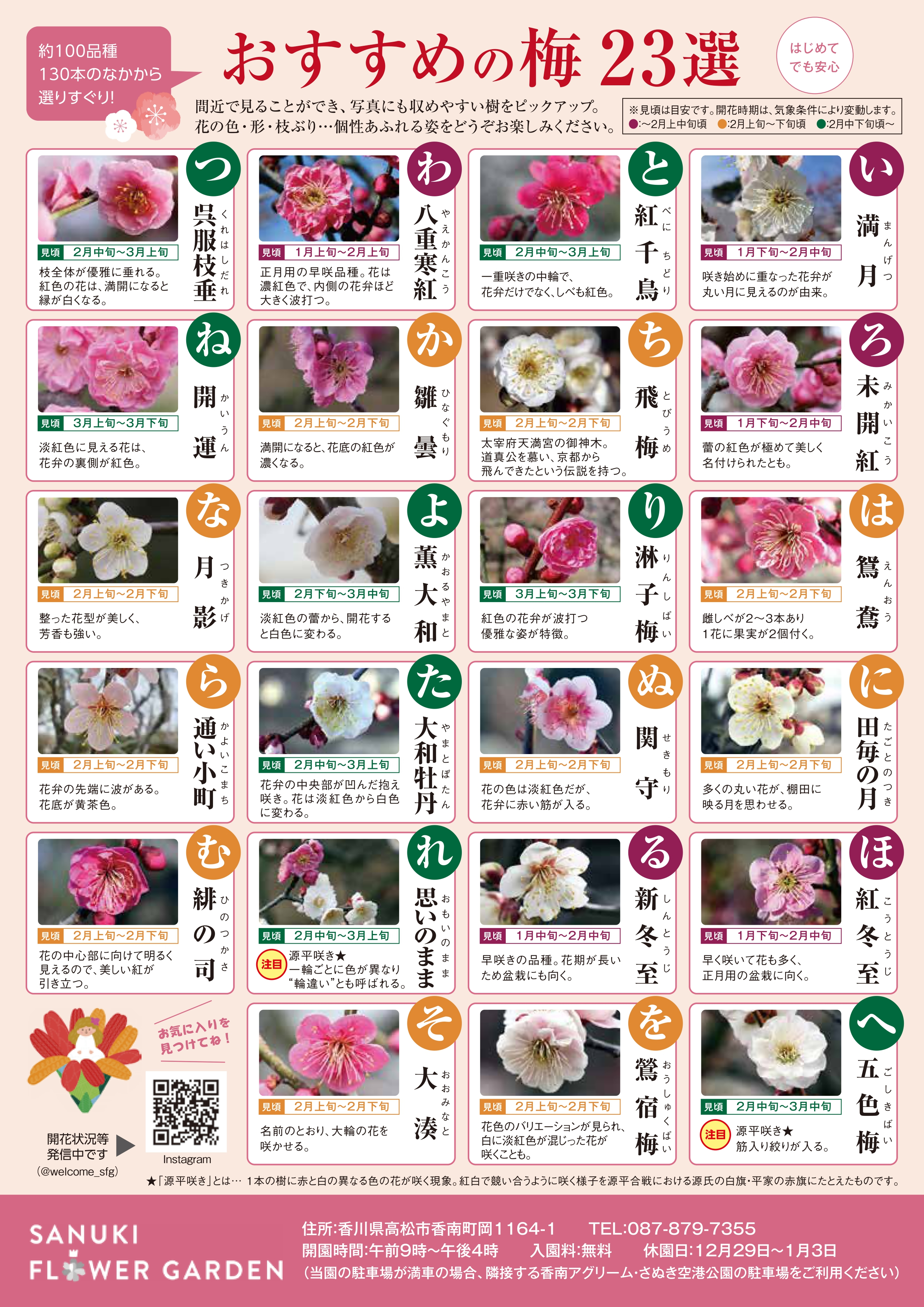 観梅ガイド裏面