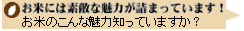 お米には素敵な魅力が詰まっています！