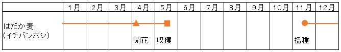 はだか麦の栽培管理