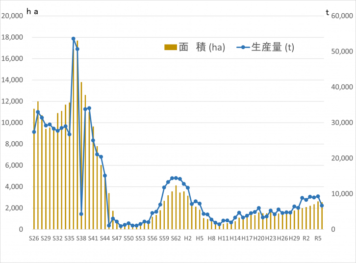 県産小麦の作付面積と生産量