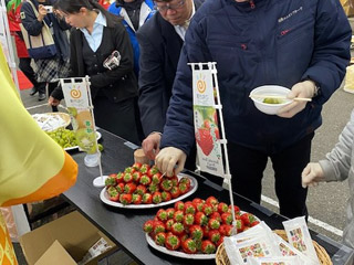 大阪市中央卸売市場