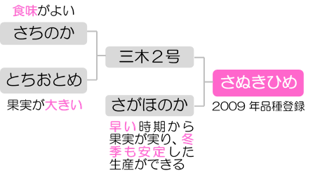 さぬきひめの来歴