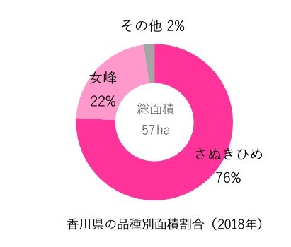 イチゴ面積