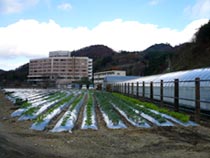 写真:セカンドステージの状況