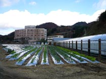 写真：セカンドステージの状況