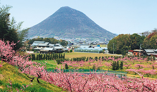 飯野山の写真