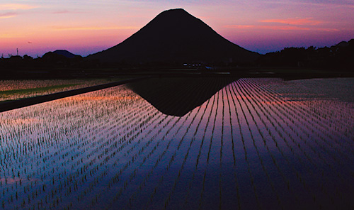 飯野山の写真